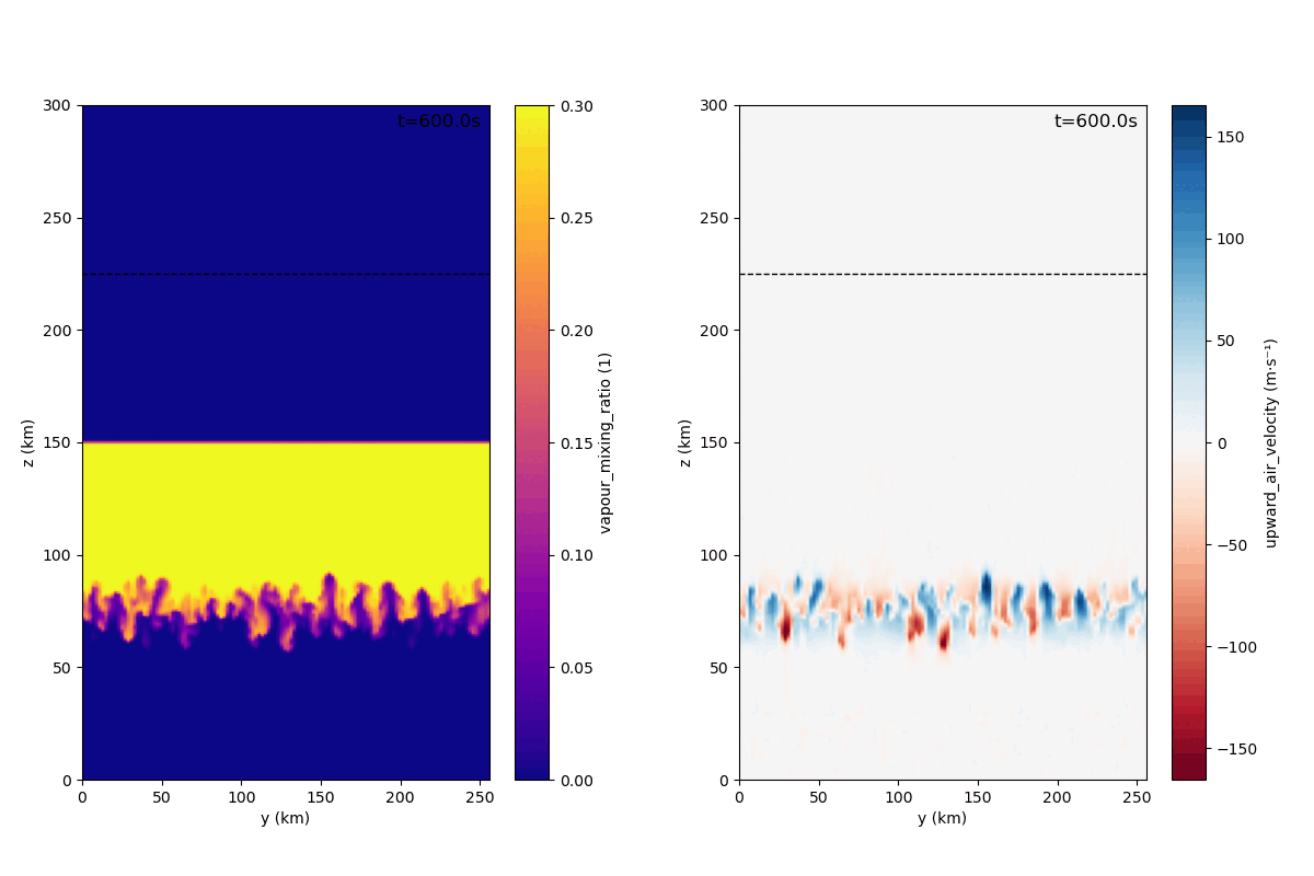 Example simulation of non-condensing convection